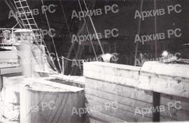 Палуба брода са бурадима за транспорт слатководне рибе; превожена је риба из Саничана фирми Шварц у Хаифи (Палестина)